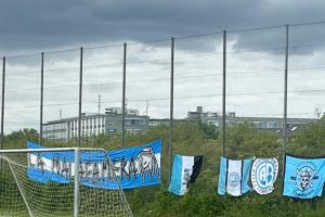Tango Cup 86